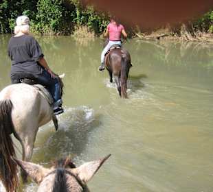 Durch ne Menge Flüsse