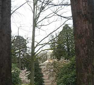 Rumänisch-Orthodoxe Kirche hinter Bäumen versteckt