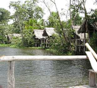 Dschungelcamp Oronico Delta