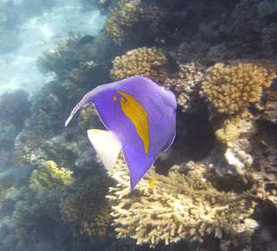 Ausflug mit Joseph&Marlen