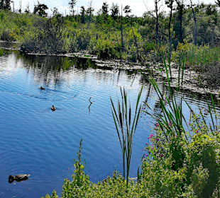 Stadtrundgang Kolobrzeg/Kolberg