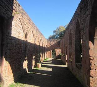 Klosterruine Limburg