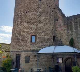 Burg Neuleiningen 
