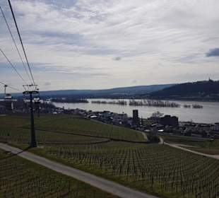 Seilbahn Rüdesheim 