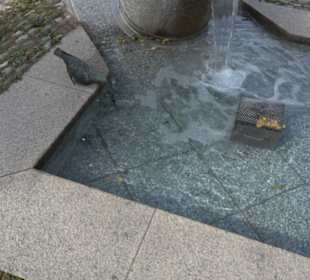 Brunnen Dorfplatz Am Anger