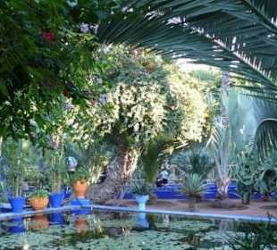 Jardin Majorelle