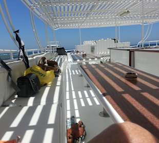 Ausflug Schnorchel-Tauchtour mit Delphin Dancers 