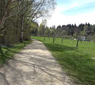 Aussichtspavillon Beutenlay