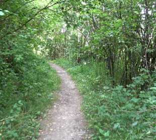 Wanderweg Ammerbucher Gigeleswegle