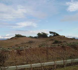 Die Dünen von Evrenseki