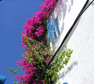 In den Gassen von Hammamet, ist das nicht schön?