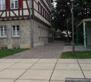 Neues Rathaus