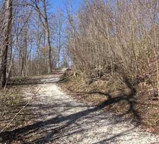 Burgruine Hohenstein