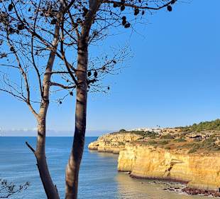 Seven Hanging Valleys Trail 