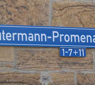Bei der Gutermann-Promenade am rechten Mainufer
