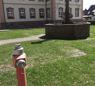 Breisacher Brunnen St. Peter