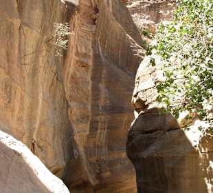 Spacer po Mieście Wykutym w Skale - Petra