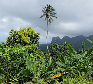 Parque Natural Obô do Príncipe