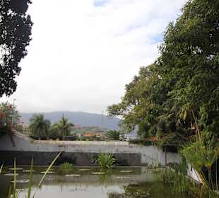 ..ein Teich darf nicht fehlen..