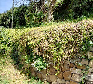 Wandern Isla del Sol