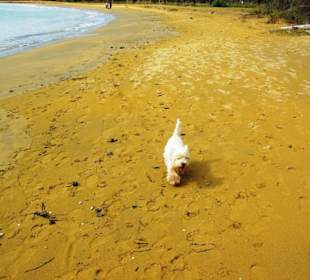 Ende September 2010 Inspirationen