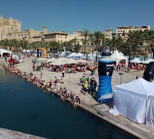 Wandern Playa de Palma - Palma