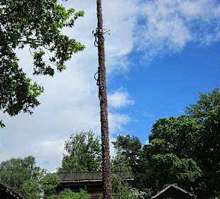 Schwedischer 'Maibaum'
