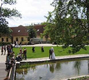 Hochzeitsfotos im Park sind gefragt