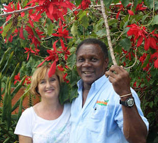 Die Besten und Liebsten Guides