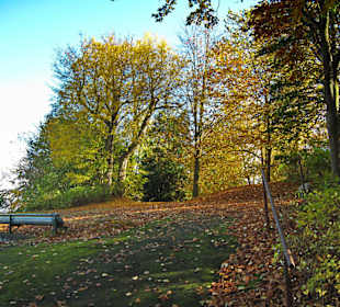 Парк Замка Ойтин. Золотая осень.