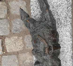 Stare Miasto Wrocław