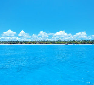 Traumhafte Isla Saona