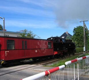 Dampflok Molli am Bahnübergang