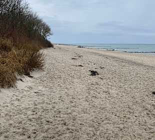 Strand Kühlungsborn