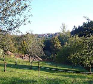 Blick nach Süden auf Althütte