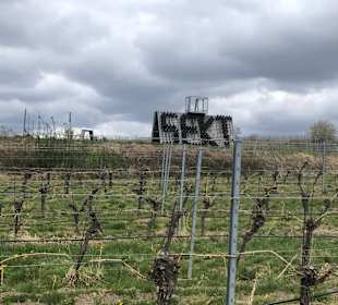 Weinwanderung Langenlois