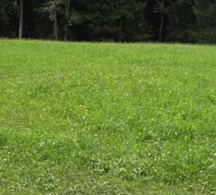 Premiumspazierweg Früchtetrauf-Leisawegle