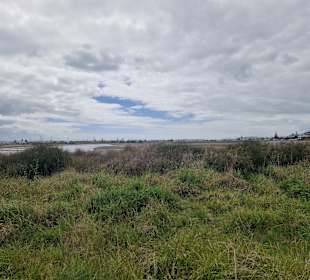 Ahuriri Estuary Walk