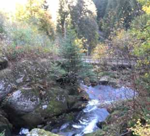 Triberger Wasserfälle