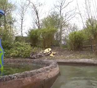 Land der Abenteuer - Dschungel X-pedition