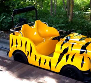 Land der Abenteuer - Safari Tour