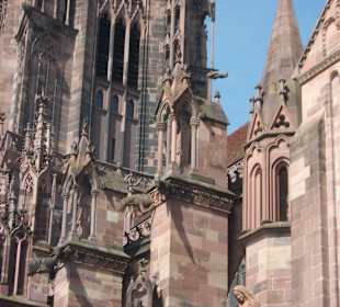 Münster
