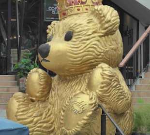 Teddy am Eingansbereich