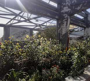 Gelände der Bundesgartenschau 2023