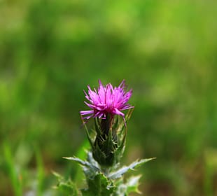 Wandern Tiflis / Tbilisi
