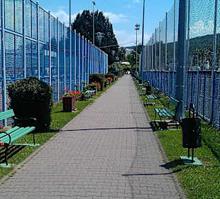 Complexul De Agrement Şi Sport Mureşul 