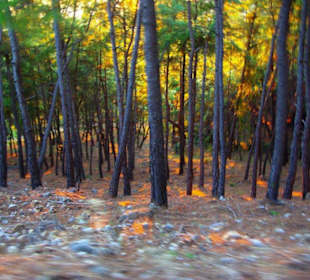 Sulahikulle - Vergessene Stadt