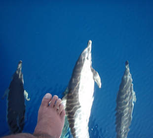 Przewodnicy podczas rejsu dookoła wyspy