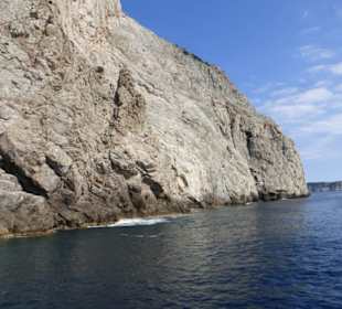 Schiffsausflug zum Cap Formentor mit Delfin Negro