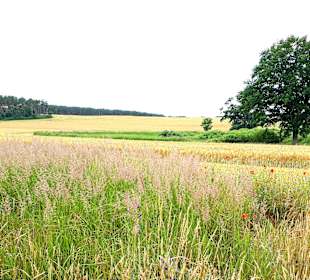 Wanderung Halbinsel Gnitz